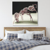Seitenansicht einer Ameise Leinwanddruck (Insitu (Schlafzimmer))