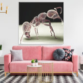 Seitenansicht einer Ameise Leinwanddruck (Insitu (Wohnzimmer))