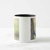 Seitenansicht einer Baum-Dickzungeneidechse Tasse (Zentrum)