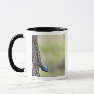 Seitenansicht einer Baum-Dickzungeneidechse Tasse