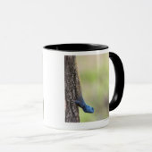 Seitenansicht einer Baum-Dickzungeneidechse Tasse (VorderseiteRechts)