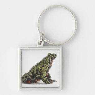 Seitenansicht einer orientalisches Feuer Schlüsselanhänger