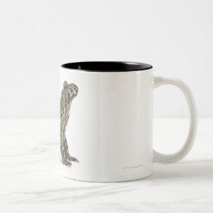 Seitenansicht einer orientalisches Feuer Zweifarbige Tasse