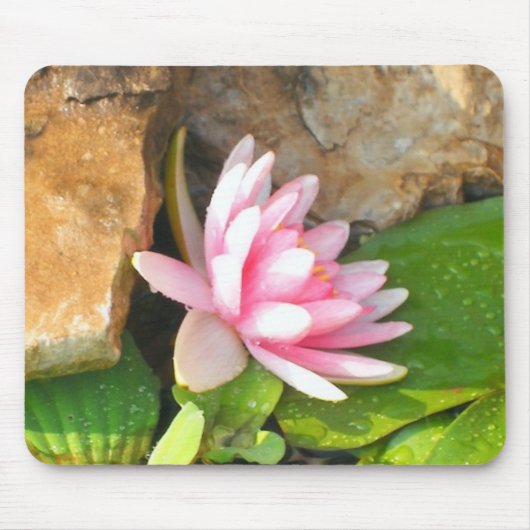 Seitenansicht einer Wasserlilie Mousepad (Vorne)