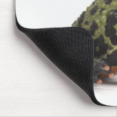 Seitenansicht eines beleuchteten Toad mit oriental Mousepad (Ecke)