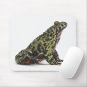 Seitenansicht eines beleuchteten Toad mit oriental Mousepad (Mit Mouse)
