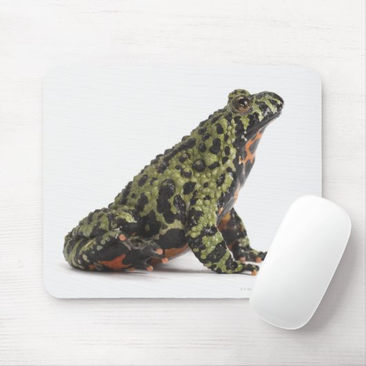 Seitenansicht eines beleuchteten Toad mit oriental Mousepad (Mit Mouse)