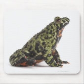 Seitenansicht eines beleuchteten Toad mit oriental Mousepad (Vorne)