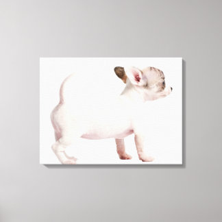 Seitenansicht von Chihuahua Puppy (10 Wochen alt) Leinwanddruck
