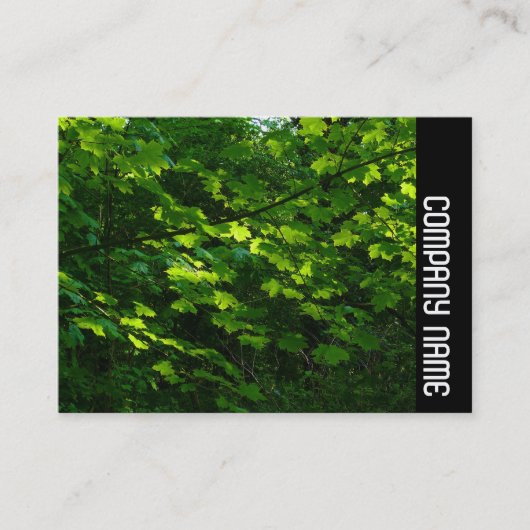 Seitenband - Blätter des Frühlings Visitenkarte (Vorderseite)