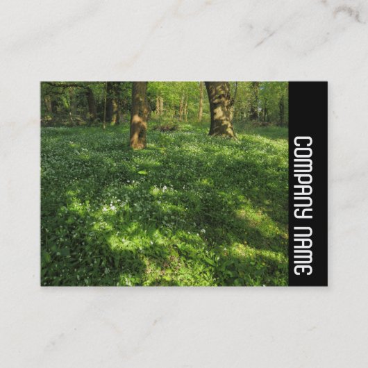 Seitenband - Frühjahr im Wald Visitenkarte (Vorderseite)