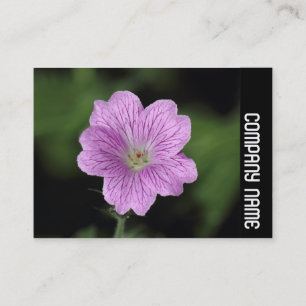 Seitenband - Geranium Endressii Visitenkarte