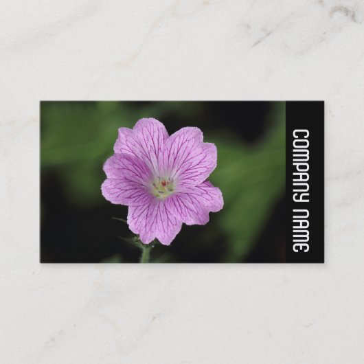 Seitenband - Geranium Endressii Visitenkarte (Vorderseite)