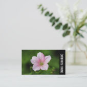 Seitenband - Geranium Visitenkarte (Stehend Vorderseite)