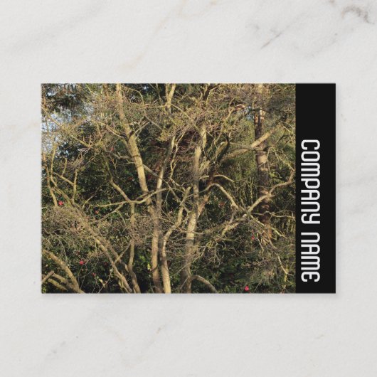 Seitenband - Goldene Zweige Visitenkarte (Vorderseite)