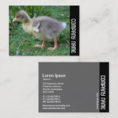 Seitenband - Gosling 02 Visitenkarte (Vorne/Hinten)