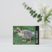 Seitenband - Gosling 02 Visitenkarte (Stehend Vorderseite)