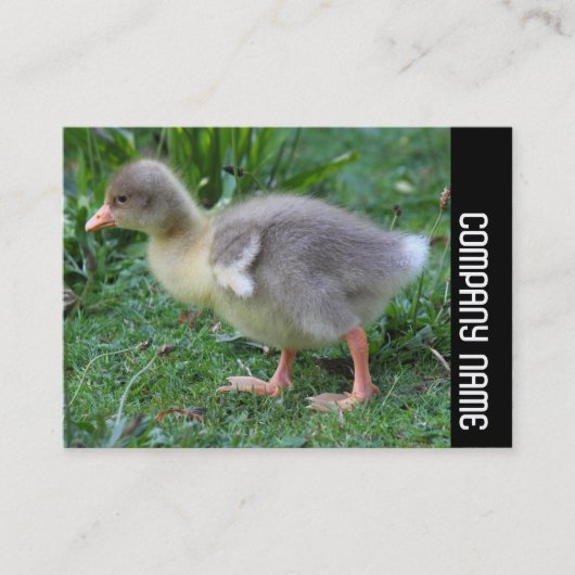 Seitenband - Gosling 02 Visitenkarte (Vorderseite)