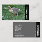 Seitenband - Gosling 02 Visitenkarte (Vorne/Hinten)