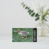 Seitenband - Gosling 02 Visitenkarte (Stehend Vorderseite)