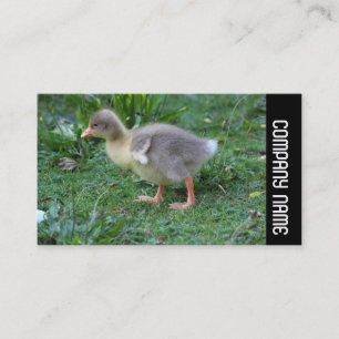 Seitenband - Gosling 02 Visitenkarte
