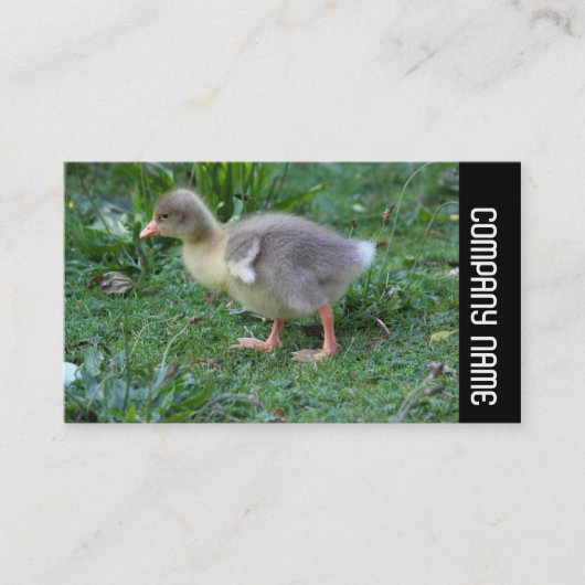 Seitenband - Gosling 02 Visitenkarte (Vorderseite)