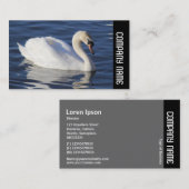 Seitenband - Mute Swan Visitenkarte (Vorne/Hinten)