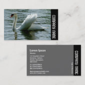 Seitenband - Swan Visitenkarte (Vorne/Hinten)