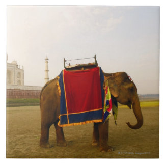 Seitenprofil eines Elefanten, Taj Mahal, Indien Fliese