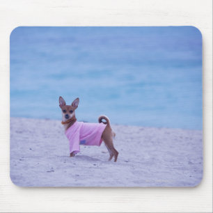 Seitenprofil eines Hundes stehend auf dem Strand, Mousepad