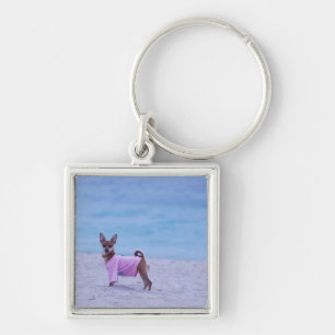 Seitenprofil eines Hundes stehend auf dem Strand, Schlüsselanhänger