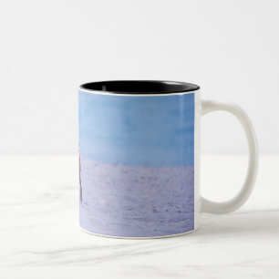 Seitenprofil eines Hundes stehend auf dem Strand, Zweifarbige Tasse
