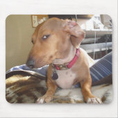 Seitliche Augenpartie Meme Maus Pad Mousepad (Vorne)