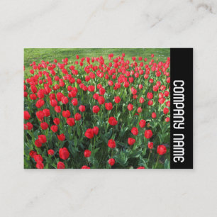 Seitliche Band - Bett von Roten Tulips 01 Visitenkarte