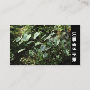 Seitliche Band - Botanischer Garten Visitenkarte