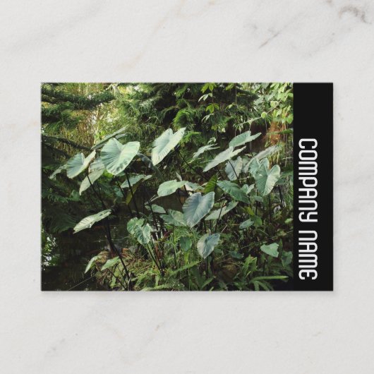 Seitliche Band - Botanischer Garten Visitenkarte (Vorderseite)