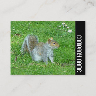 Seitliche Band - Eichhörnchen Visitenkarte