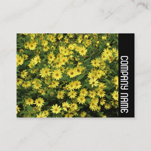 Seitliche Band - Gelbe Milchsorten Visitenkarte (Vorderseite)