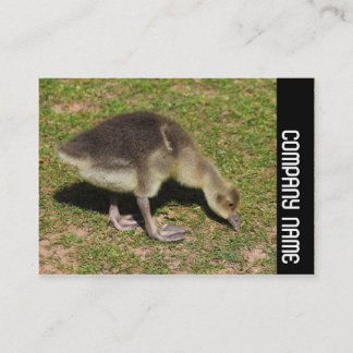 Seitliche Band - Gosling Visitenkarte