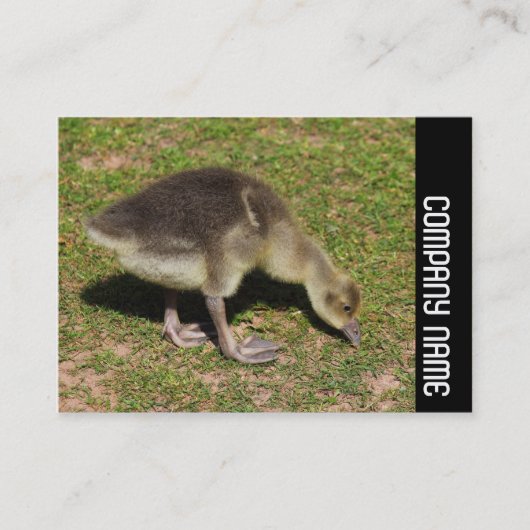 Seitliche Band - Gosling Visitenkarte (Vorderseite)