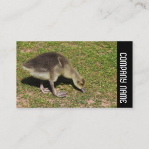 Seitliche Band - Gosling Visitenkarte