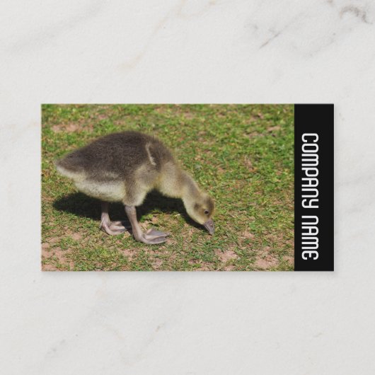 Seitliche Band - Gosling Visitenkarte (Vorderseite)