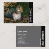 Seitliche Band - Graues Eichhörnchen Visitenkarte (Vorne/Hinten)