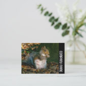 Seitliche Band - Graues Eichhörnchen Visitenkarte (Stehend Vorderseite)