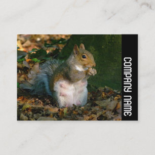 Seitliche Band - Graues Eichhörnchen Visitenkarte