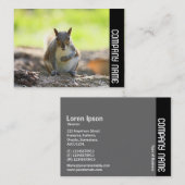 Seitliche Band - Graues Eichhörnchen Visitenkarte (Vorne/Hinten)