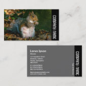 Seitliche Band - Graues Eichhörnchen Visitenkarte (Vorne/Hinten)