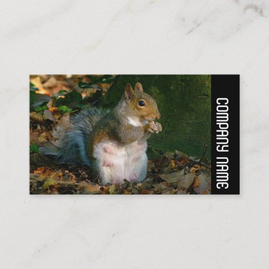 Seitliche Band - Graues Eichhörnchen Visitenkarte (Vorderseite)