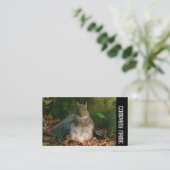 Seitliche Band - Graues Eichhörnchen Visitenkarte (Stehend Vorderseite)