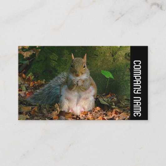 Seitliche Band - Graues Eichhörnchen Visitenkarte (Vorderseite)